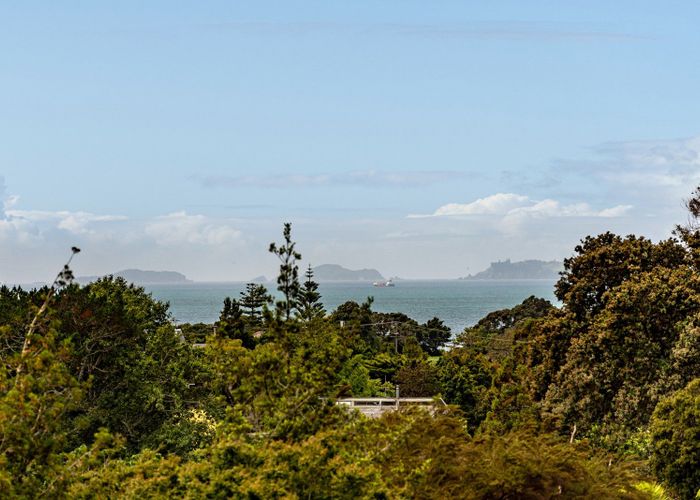  at 32A Braemar Road, Castor Bay, Auckland