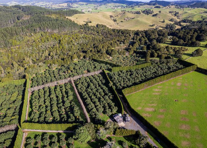  at 660 Ngunguru Road, Glenbervie, Whangārei