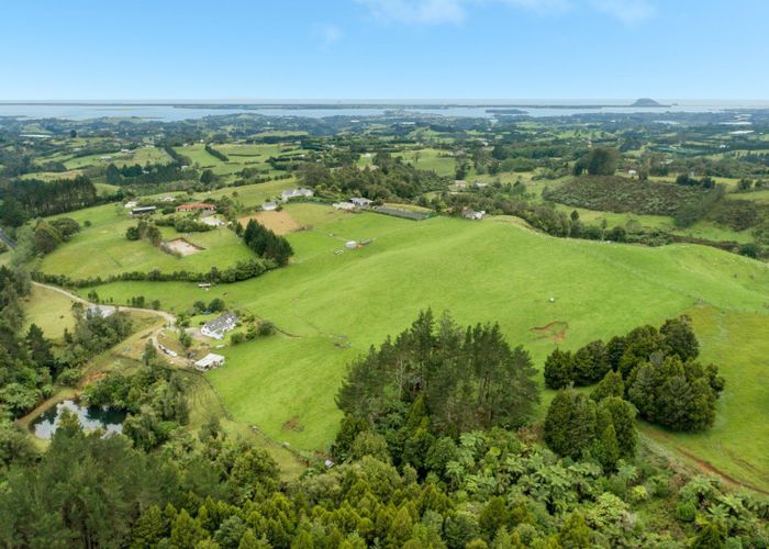  at 181 Tim Road, Whakamarama, Tauranga