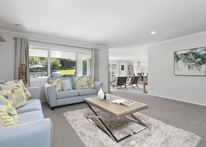  at 141 Munro Road, Minden, Tauranga