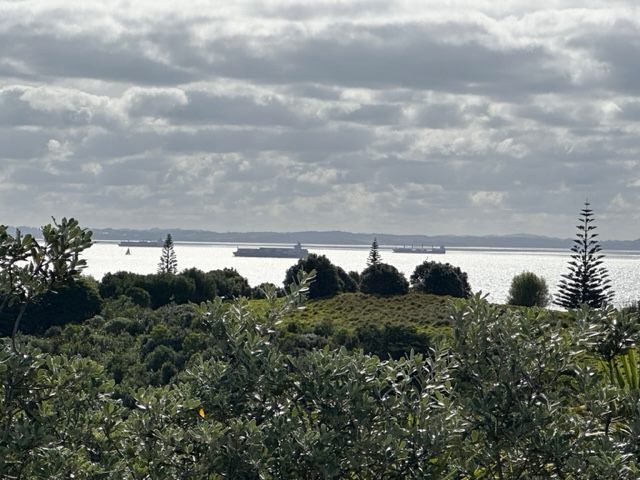  at 24 Ocean View Crescent, Rakino Island, Auckland