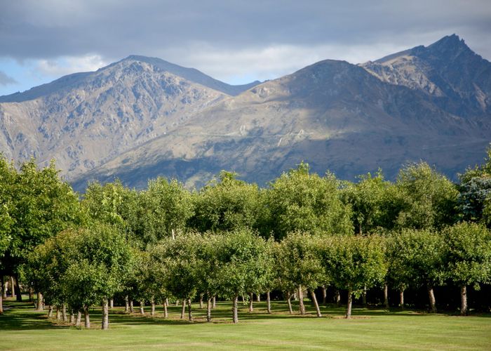  at 8/188 Domain Road, Dalefield, Queenstown-Lakes, Otago