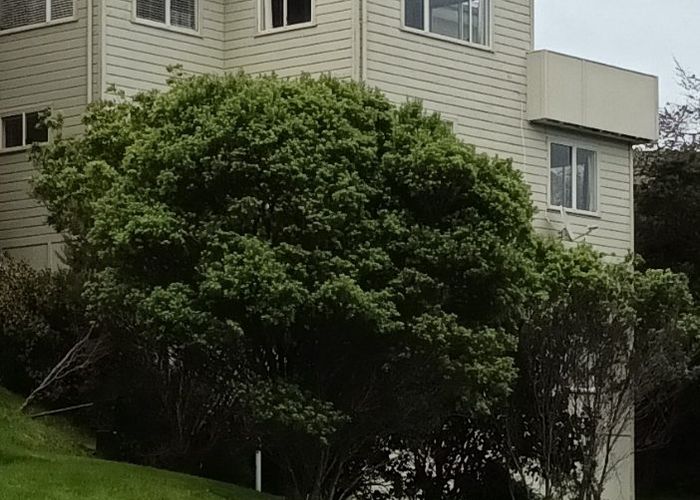  at Withheld, Miramar, Wellington, Wellington