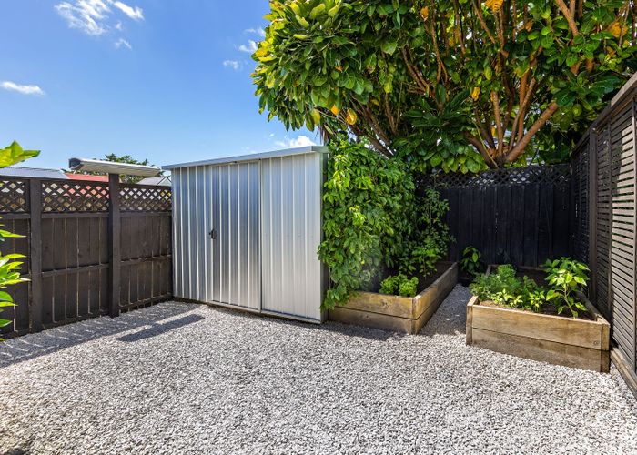  at 260 Meola Road, Point Chevalier, Auckland