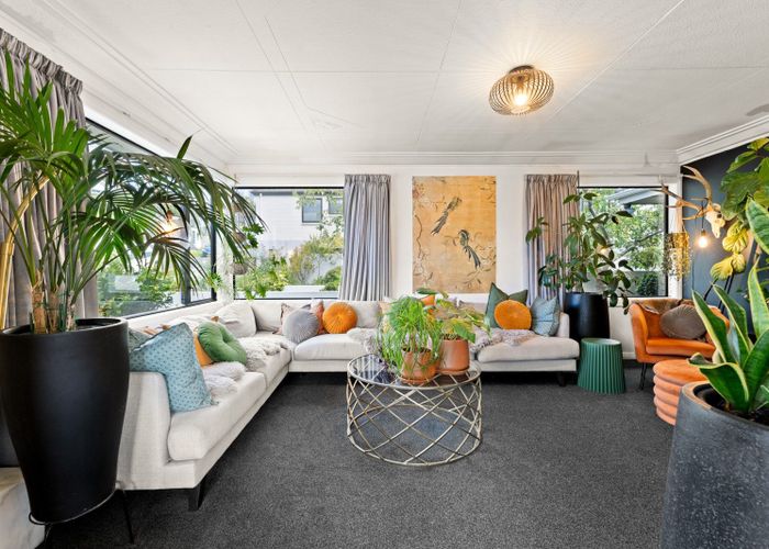  at 19 Erin Street, Roslyn, Dunedin
