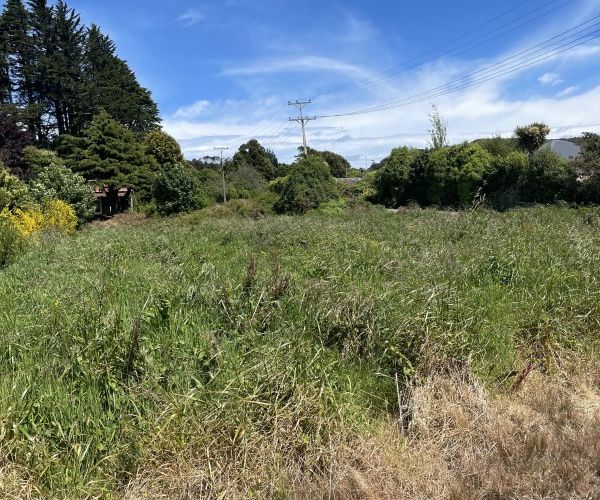  at 22 Antrim Street, Waikawa, Picton