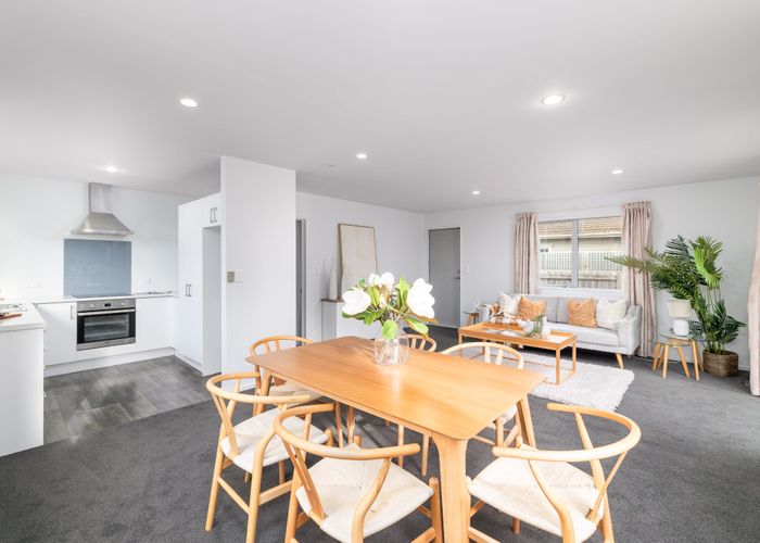  at 117 Ruskin Street, Addington, Christchurch City, Canterbury