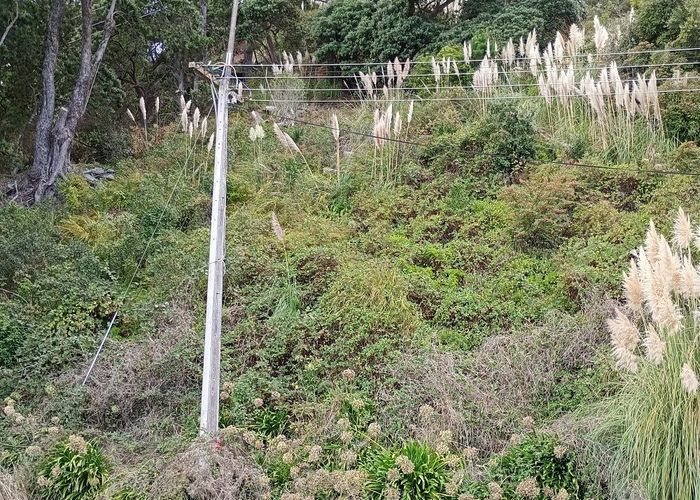  at 818 THAMES COAST ROAD, Te Mata, Thames-Coromandel, Waikato