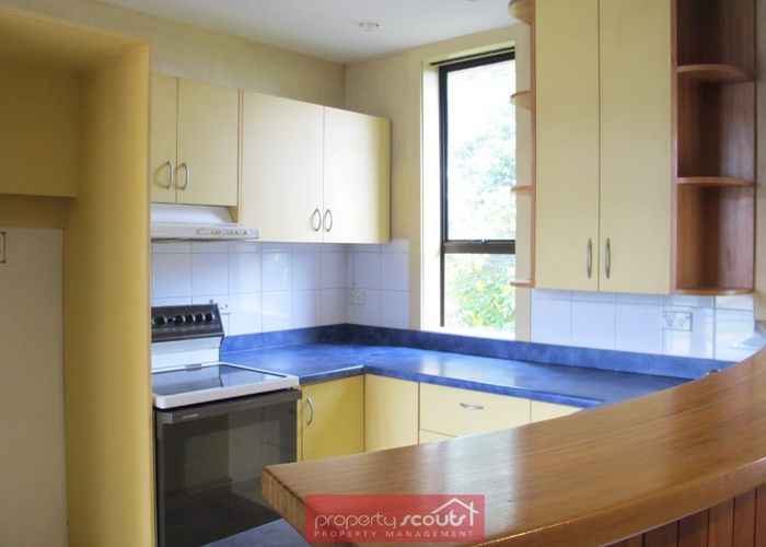  at 5 Churchill Street, Saint Kilda, Dunedin