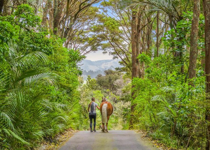  at 101 Taylor Road, Waimauku, Rodney, Auckland