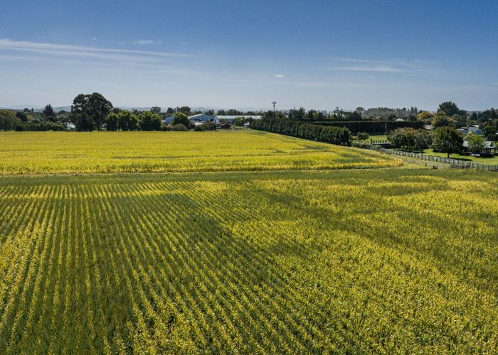  at 541 State Highway 51, Hastings Central, Hastings, Hawke's Bay