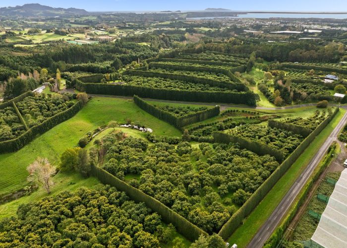  at 222 Wharawhara Road, Katikati, Western Bay Of Plenty, Bay Of Plenty