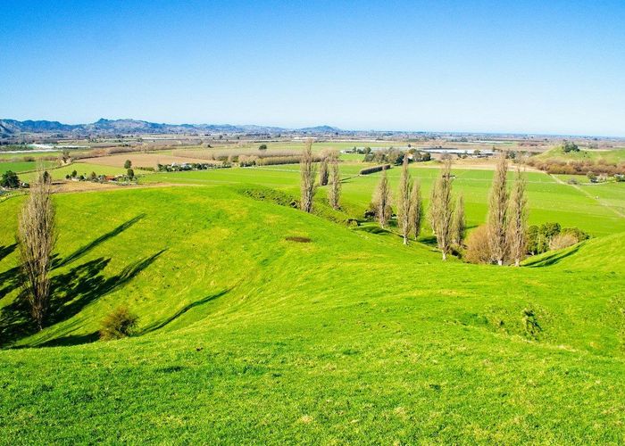 For sale 'Waituhi', Lavenham Road, Patutahi, Gisborne, Gisborne