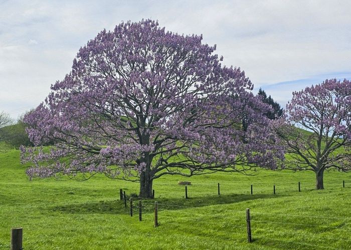  at 441 State Highway 38, Rerewhakaaitu, Rotorua, Bay Of Plenty