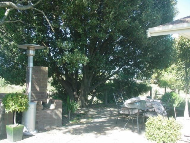  at 16 Titoki Crescent, Pirimai, Napier, Hawke's Bay