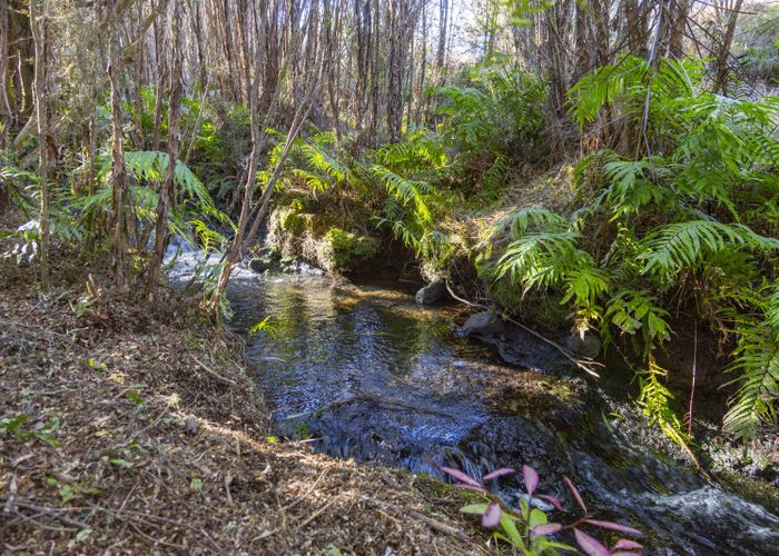  at 7 Mead Lane, Horopito, Raetihi