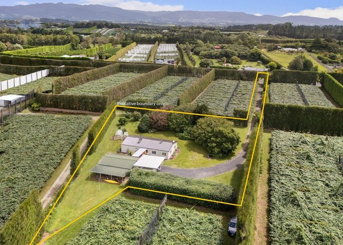  at 81 Lockington Road, Aongatete, Western Bay Of Plenty, Bay Of Plenty