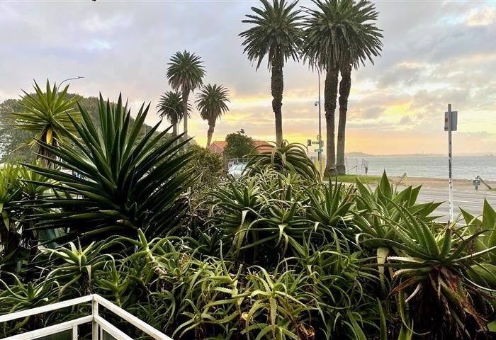  at 4/381 Tamaki Drive, Saint Heliers, Auckland City, Auckland