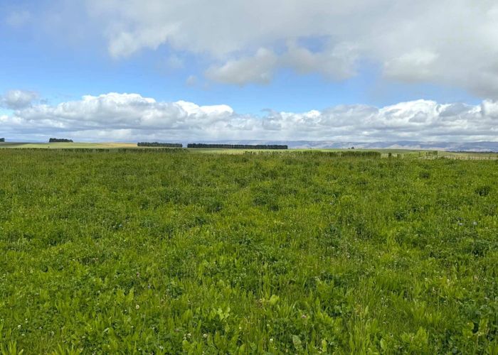  at Bypass Road, Ranfurly, Central Otago, Otago