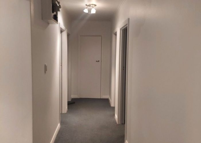  at 4/147 Owen Street , Newtown, Wellington, Wellington