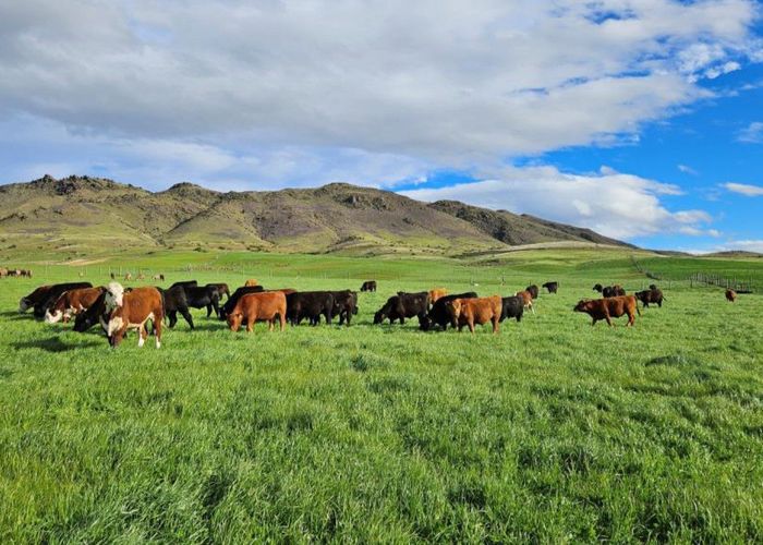  at 580 Crawford Hills Road, Alexandra, Central Otago, Otago