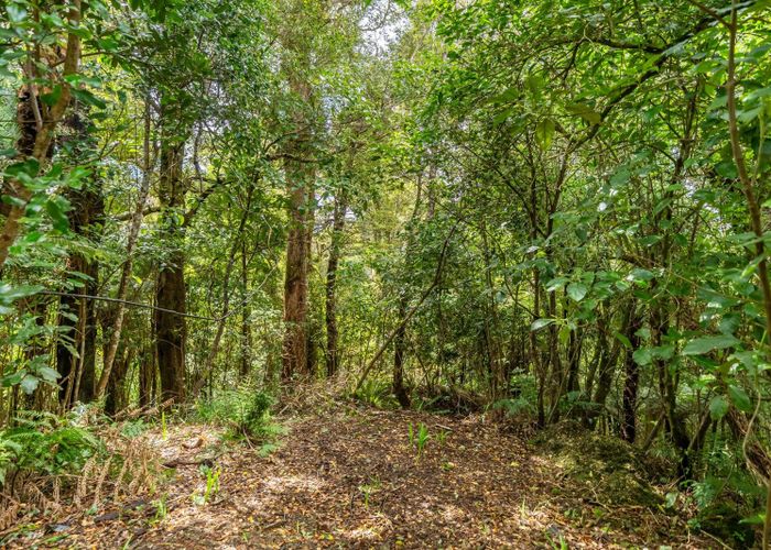  at 98 Avro Road, Blue Mountains, Upper Hutt, Wellington