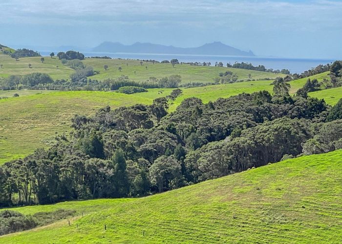 For sale 1040 Pakiri Block Road, Tomarata, Wellsford, Rodney