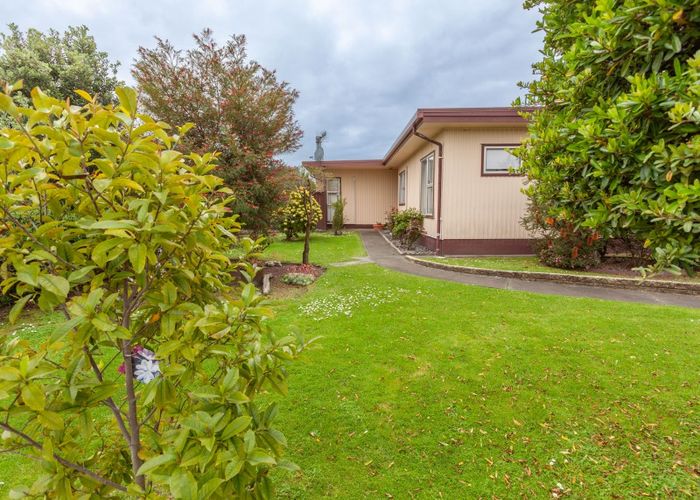  at 100 Wynyard Crescent, Tamatea, Napier