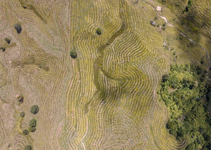  at 484 Mangapapa Road, Stratford, Stratford, Taranaki