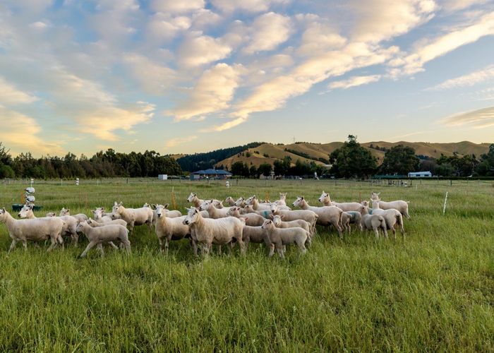  at 136 Hardings Road, Riverlands, Blenheim, Marlborough