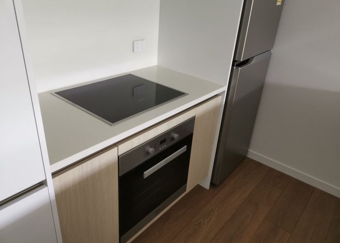  at 207/14 EDGERLEY AVE, Epsom, Auckland City, Auckland