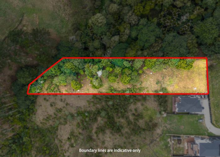  at 11 Grand Ridge Avenue, Flat Bush, Manukau City, Auckland