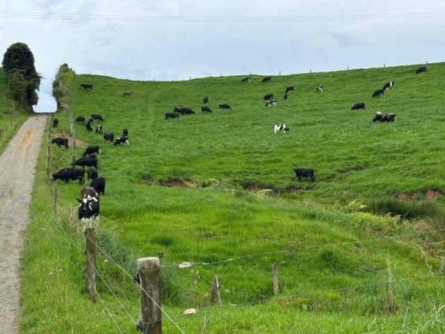  at 119 Ohanga Road, Onaero, New Plymouth, Taranaki
