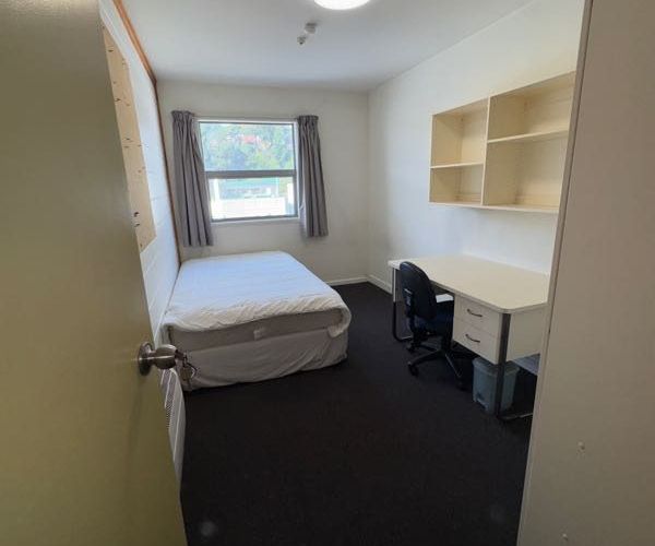  at 16/19 Drummond Street, Mount Cook, Wellington, Wellington