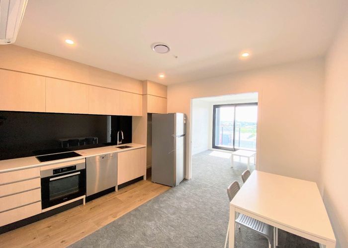  at 221/428 Dominion Road, Mount Eden, Auckland City, Auckland