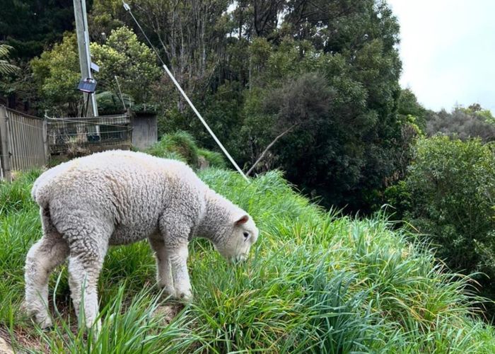  at 1/1342B Akatarawa Road, Akatarawa, Upper Hutt, Wellington