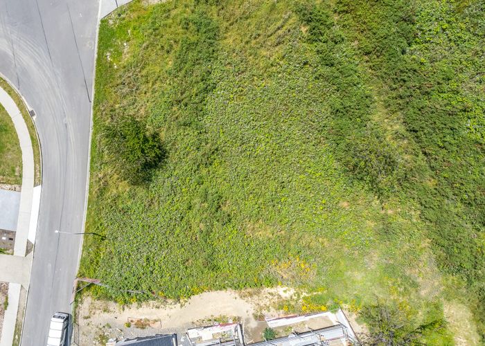  at 81 Kotare Street, Waikanae, Kapiti Coast, Wellington