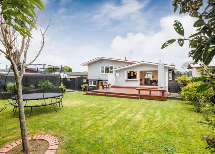  at 50 Newcastle Street, Hokowhitu, Palmerston North, Manawatu / Whanganui