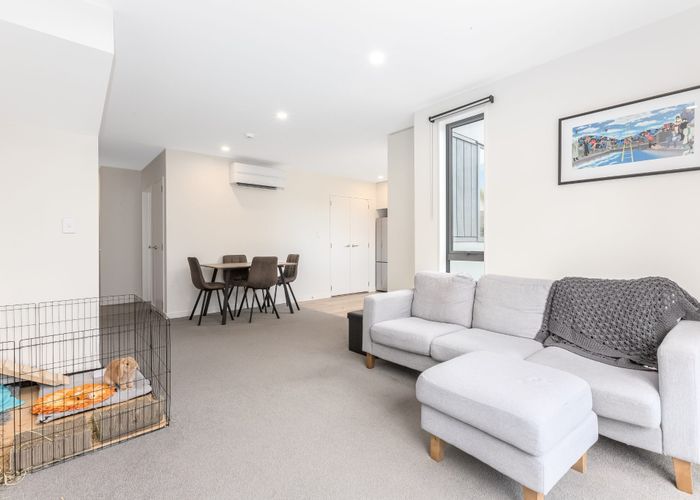  at 20 Te Ara O Ripeka Wharawhara, Petone, Lower Hutt
