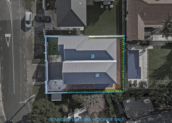  at 19 Korau Road, Greenlane, Auckland City, Auckland