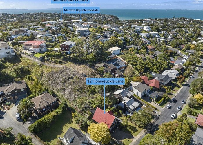  at 12 Honeysuckle Lane, Mairangi Bay, Auckland