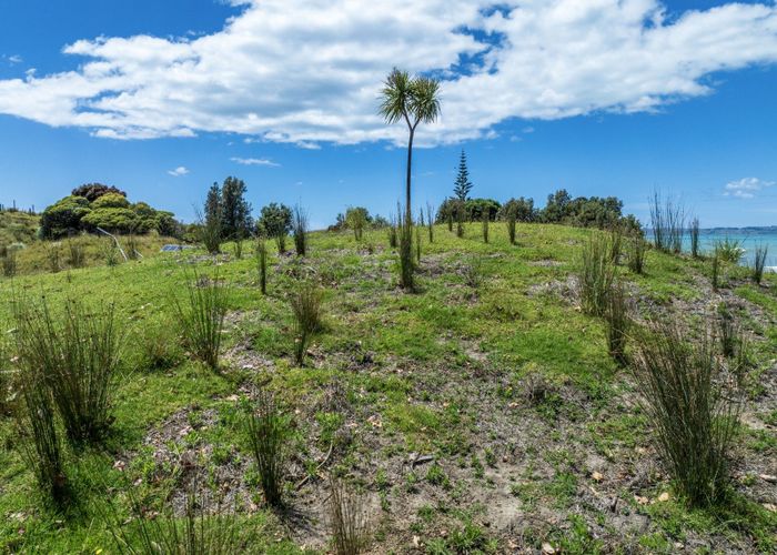  at 39 Happy Jacks Road, Mahia, Mahanga, Wairoa, Hawke's Bay