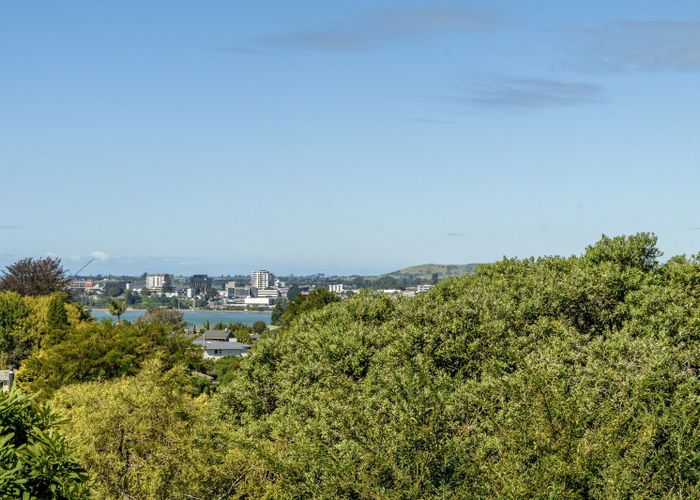  at 20 Brookfield Terrace, Brookfield, Tauranga, Bay Of Plenty