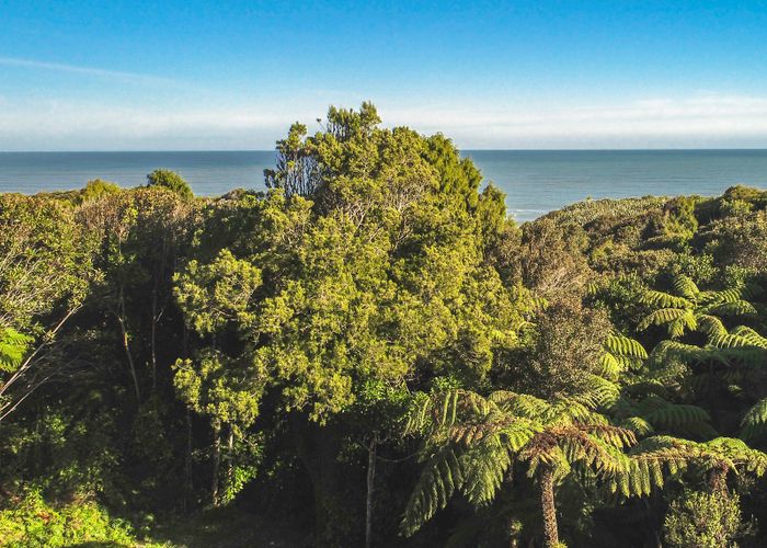  at 4 Ross Place, Te Miko