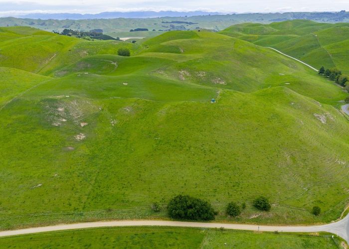  at Corner Te Aute Trust Road and Aupaki Road, Poukawa, Hastings, Hawke's Bay
