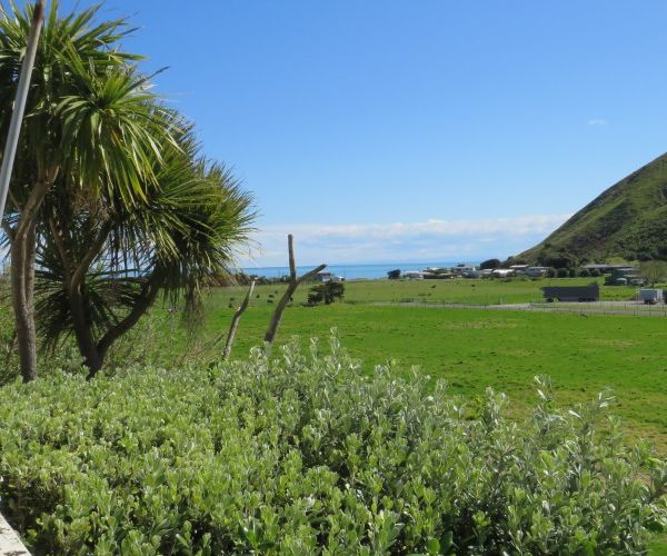  at 47 Lochiel Street, Nuhaka