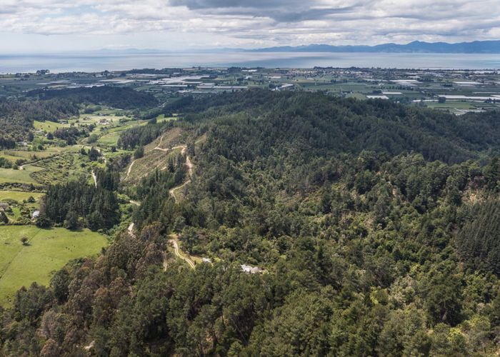  at 385 Brooklyn Valley Road, Motueka, Tasman, Nelson / Tasman