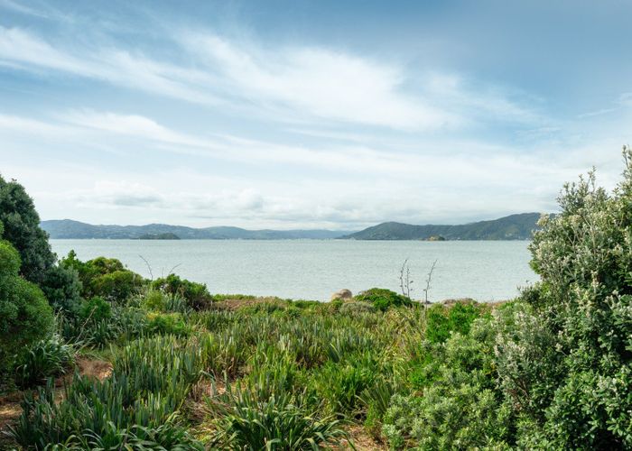  at 11 Boardwalk Lane, Seatoun, Wellington