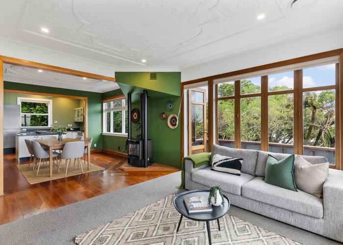  at 20 Pearce Street, Vogeltown, Wellington, Wellington