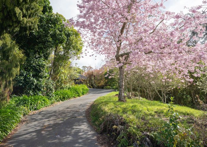  at 21 Brunette Drive, Acacia Bay, Taupo, Waikato